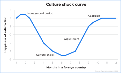 Culture Shock Curve